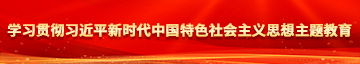 上面吸奶下面插入外国学习贯彻习近平新时代中国特色社会主义思想主题教育